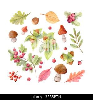 Botanisches Clipart mit Waldaquarell, Pilzen, Beeren, Herbstblättern und Nüssen. Illustrationskollektion für Herbstwald Stockfoto