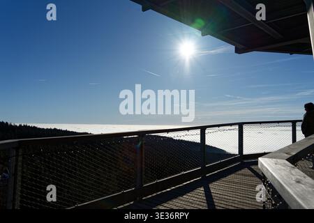 Eine atemberaubende Panoramalandschaft von einer hölzernen Aussichtsplattform am Baumwipfelpfad Sankt Engelmar, die dichte immergrüne Wälder unter sich zeigt Stockfoto