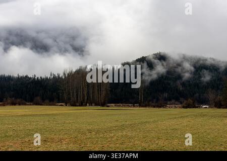 Nebelwolken hängen über einem bewaldeten Berg und einem ländlichen Feld in Pemberton, British Columbia, Kanada Stockfoto
