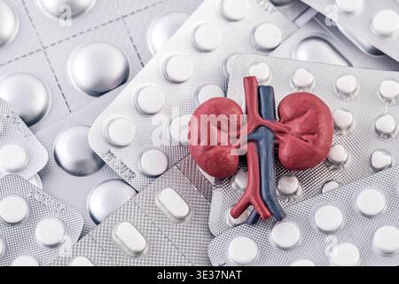 Anatomisches Modell der menschlichen Nieren mit Uretern auf Haufen von vielen verschiedenen Pillen und Tablettenpackungen und -Blistern. Urologisches Gesundheitskonzept Stockfoto