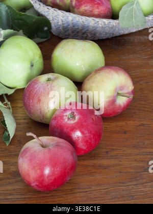 Mehrere rote und grüne Äpfel auf Holztisch aus nächster Nähe Stockfoto