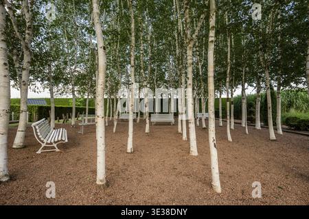 In Ogrody Kapias, Polen, stehen anmutig hohe Birken, umgeben von üppigem Grün, bunten Blumen und ruhigen Gartenwegen Stockfoto