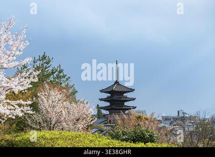 Park mit Kirschblüten, fünfstöckige Yasaka-Pagode des buddhistischen HOkanji-Tempels, Higashiyama, Kyoto, Japan Stockfoto