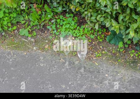 Zwei Sektflöten, eine halb voll und eine leer, sitzen auf einem grauen Steinweg neben grünem Laub und kleinen gemahlenen Pflanzen im Freien. Stockfoto