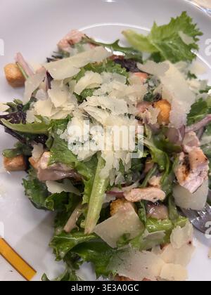 Frischer caesar-Salat mit gegrilltem Huhn und Parmesankäse auf einem weißen Teller Stockfoto