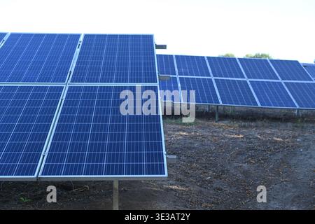 Solarpaneele in Reihen in einem Solarkraftwerk installiert, Photovoltaikpaneele, die Sonnenlicht für die Erzeugung erneuerbarer Energien erfassen, sauberer grüner Strom tec Stockfoto