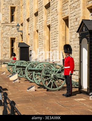 Eine königliche Garde in traditioneller roter Uniform, die an Kanonen im Tower of London steht Stockfoto
