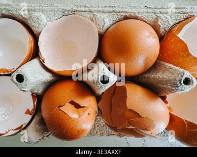 Blick von oben auf braune Eier und zerrissene Eierschalen in einem Papierkarton. Saubere, minimale Komposition ideal für Themen wie Kochen, Zubereitung von Speisen, was Stockfoto