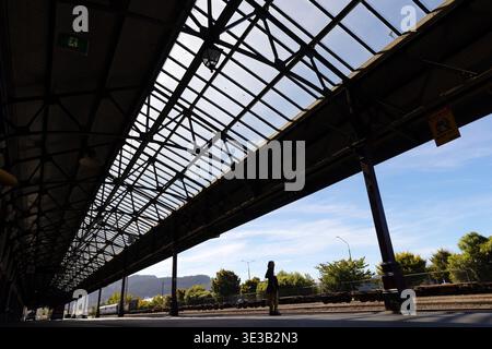 Einsame Figur, die auf einem Bahnsteig unter dem Vordach am Bahnhof Dunedin, Dunedin, Otago, Neuseeland steht. Stockfoto