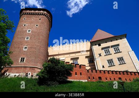 Ein majestätischer Backsteinburgturm und eine alte Steinmauer stehen hoch vor einem klaren blauen Himmel mit weißen Wolken, umgeben von lebendigem grünem Gras an einem sonnigen Tag. Stockfoto