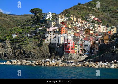 Lebendige, farbenfrohe Häuser stürzen sich über eine Klippe in Cinque Terre, Italien, und bilden eine malerische Küstendörfenszene mit grünen Fensterläden, schmalen Terrassen, hellen Fassaden und einem tiefblauen mediterranen Himmel. Stockfoto