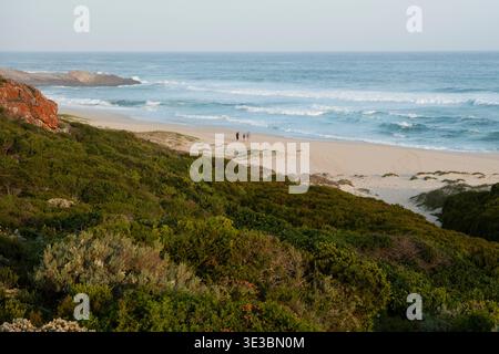 Wanderer am Strand, der Whale Trail, de Hoop Nature Reserve, Südafrika Stockfoto