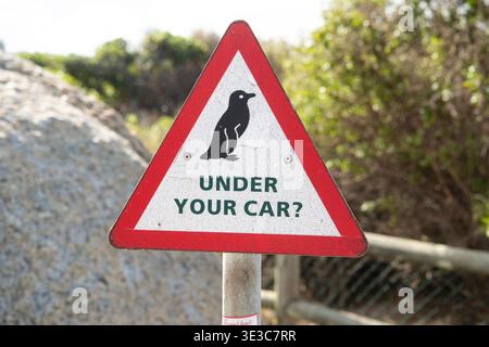 Schild am Boulders Beach, Boulders Pinguin Colony, Table Mountain National Park, Kapstadt, Südafrika Stockfoto