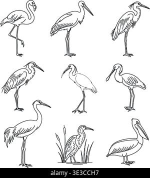 Wasservogellinie Kunst-Vektor-Set, Flamingo, Pelikan, Reiher und Storch Icons für Natur, Wildtiere und Feuchtgebiete Designs Stock Vektor