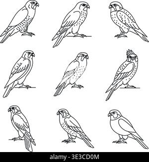 Einzigartiges Falken- und Falken-Greifvögel-Line-Kunstset, Original-Outline-Vektor-Ikonen Stock Vektor