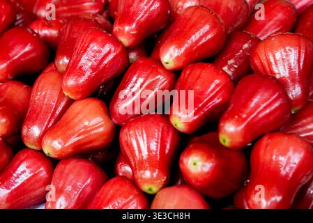 Leuchtend rote Rosenäpfel, die sich eng aneinander stapeln, glänzend und frisch. Perfekt für Food Blogs, gesunde Ernährung oder tropische Früchte Themen. Zeigt reif, Stockfoto