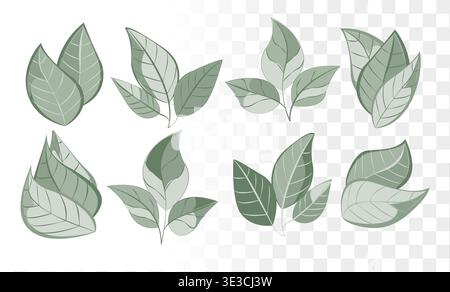 Dusty Salbei Green Leaf Vector Set minimalistische Botanische Icons für umweltfreundliches Branding, luxuriöse Hautpflegeverpackungen und Wellness-Identität. Pfade Bereinigen Stock Vektor