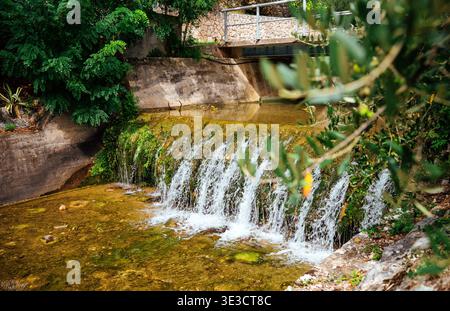 Kleiner Wasserfall, der über einen moosigen Betondamm fließt. Stockfoto