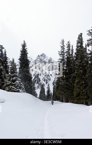 Einsamer Wanderer mit Rucksack-Trekking auf einem schmalen Schneerad durch dichten Fichtenwald zu schroffen Berggipfeln Stockfoto