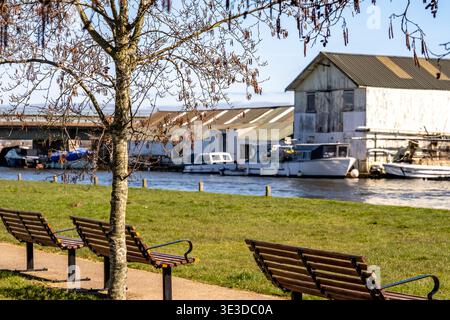 Silberbirke und Holzbänke am Ufer des Flusses Thurne in Potter Heigham, Norfolk Broads Stockfoto
