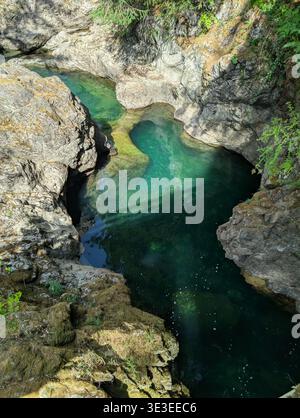 Natürlicher smaragdfarbener Fluss zwischen den Wäldern in den Bergen von Vancouver Island im Sommer an einem sonnigen Little Qualicum Falls, BC, Kanada Stockfoto