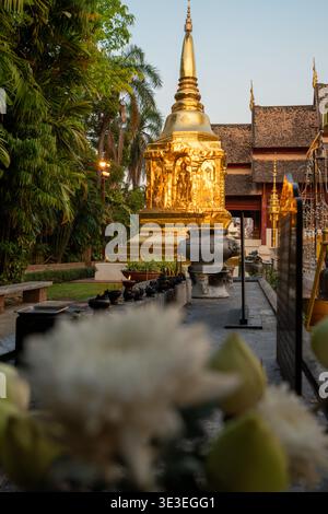 Chiang Mai, Thailand - 5. März 2020: Räucherstäbchen und Opferschalen mit einem goldenen buddhistischen Schrein im Tempel Wat Phra Singh in Chiang Mai. Stockfoto