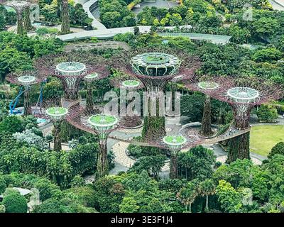 Ein Blick auf den Superbaumhain in den Gärten am Bay Park in Singapur. Stockfoto