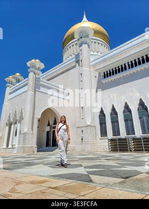 Details zur Omar Ali Saifuddien Moschee in Bruneis Hauptstadt, der wichtigsten Moschee von Brunei. Stockfoto