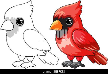Eine leuchtende rote Kardinalvogel-Vektor-Illustration neben einem schwarz-weißen Farbseitenumriss Stock Vektor