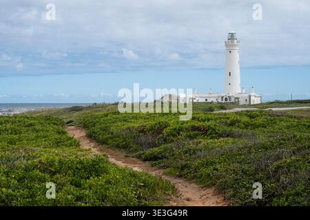 Seal Point Lighthouse, Cape St. Francis, Südafrika Stockfoto