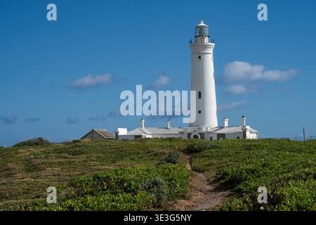 Seal Point Lighthouse, Cape St. Francis, Südafrika Stockfoto