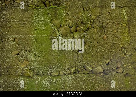 Nahaufnahme der mit Moos und Flechten bedeckten verwitterten Betonwand, Muhu, Estland, Europa. Stockfoto