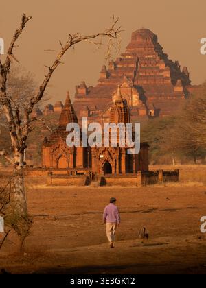 Old Bagan, Myanmar - 18. Februar 2026: Blick auf die ockerfarbenen Bagan-Tempel, die majestätisch am Horizont stehen, Zeuge eines einsamen Wanderers. Stockfoto