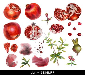 Aquarellset aus Granatapfelelementen: Ganze und geschnittene Früchte, Samen, Blätter, Knospen, Blüten, Verzweigungen und rote Spritzer. Abbildung für Verpackung, Stockfoto