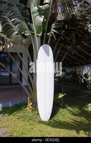 Surfbrett in der Nähe eines tropischen Hauses mit großen Blättern Stockfoto