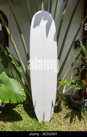 Surfbrett mit Palmblattschatten auf tropischem Hintergrund Stockfoto
