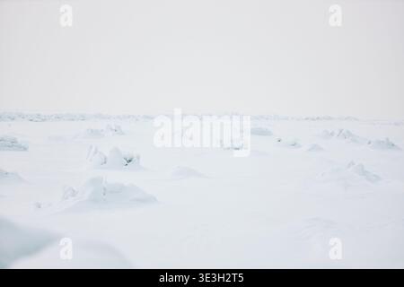 Schneebedeckte Landschaft, die sich bis in die Ferne erstreckt, mit unebenen Hügeln und gefrorenem Gelände, leere Szenen mit unberührter Winterumgebung und Kopierraum für Text oder Grafiken Stockfoto
