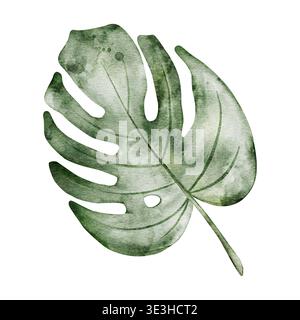 Grünes Monstera-Blatt. Tropische Pflanze. Handgemalte Aquarellillustration. Transparenter Hintergrund. Designelement für Stoffe, Einladungen, Kleidung Stockfoto