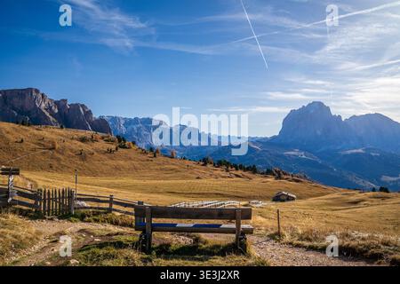 Herbstlicher Panoramablick auf die Dolomiten von Seceda. Eine Holzbank lädt zum Entspannen ein und überblickt den Langkofel und die Sellagruppe. Goldene Wiesen Stockfoto