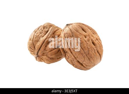 Walnüsse isoliert auf weißem Hintergrund. Stellen Sie den gesamten Walnussholz ein. Stockfoto