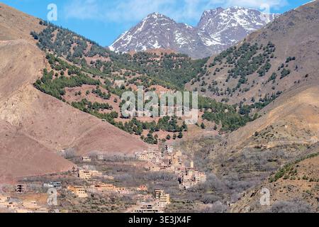 Abgelegenes Berber-Bergdorf versteckt in terrassenförmig angelegten Hängen des Atlasgebirges in der Nähe von Imlil, Marokko, eingerahmt von Kiefernhügeln und weit verschneiten Bergen Stockfoto