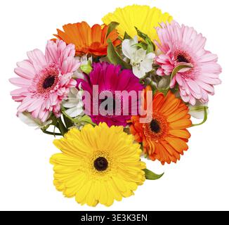 Blick von oben auf einen Blumenstrauß mit Gerbera-Blumen vor weißem Hintergrund Stockfoto