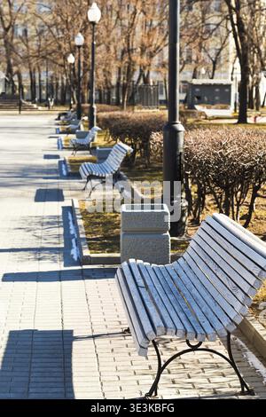Leere Holzbänke im Stadtpark am sonnigen Frühjahrstag Stockfoto