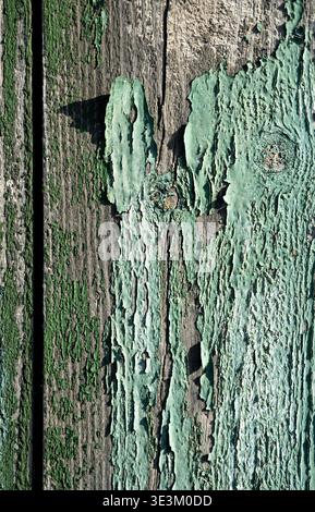 Verwittertes blaublaues lackiertes Holzdielen mit abblätternder Farbe in rustikaler Hintergrundstruktur mit hoher Auflösung Stockfoto
