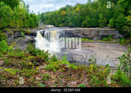 Ein gestufter Wasserfall an den Trenton Falls in New York, der vom West Canada Creek stammt und über geschichtete Felsformationen kaskadiert und von dichtem Wald umgeben ist Stockfoto
