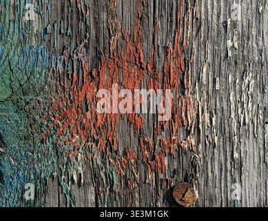 Rustikale Holzbretter mit mehrschichtiger Farberosion, perfekt für Vintage- oder Bauernhäuser. Stockfoto