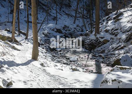 Das Foto zeigt eine schneebedeckte Szene, ein Bach fließt durch einen schneebedeckten Wald, aufgenommen im Winter an Sherman Falls, Ontario, Kanada. Stockfoto