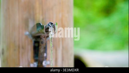 Wasserhahn fließt von einem Holzpfosten in einem grünen Bereich an einem sonnigen Tag in der Nähe eines Waldes Stockfoto