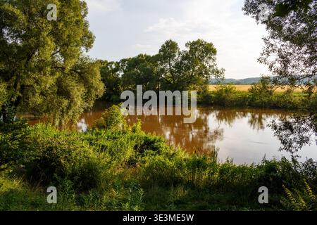 Der bräunliche Bach fließt durch üppige grüne Ufer. Grüne Bäume säumen das Wasser, ihre Reflexionen schimmern. Ruhige Naturszene, gute Vibes Stockfoto