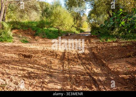 Schlammige, unbefestigte Straße mit tiefen Reifenspuren, die sich an einem sonnigen Tag durch einen üppigen grünen Wald schlängeln. Natur, Abenteuer, ländliche Landschaft Stockfoto